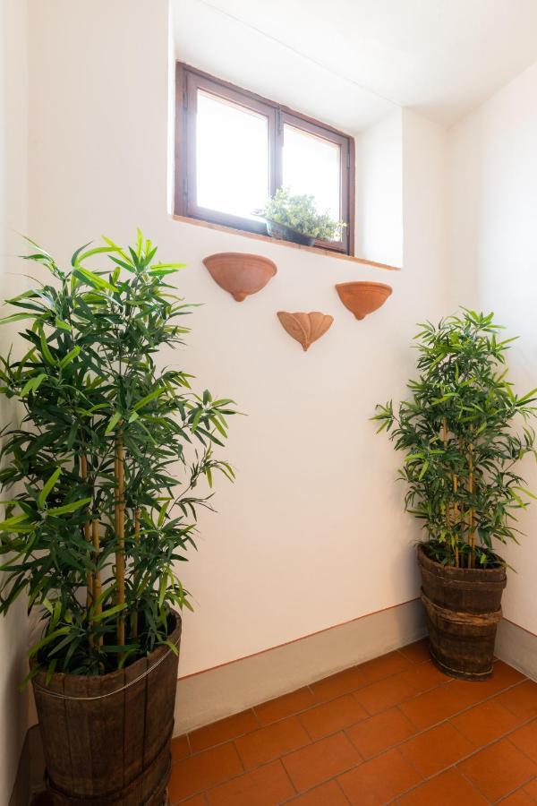 Fiesole'S Cozy Apartment 1 Exteriör bild